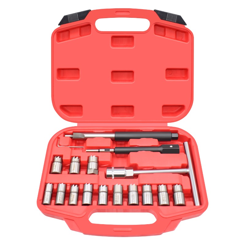 17Pcs Set Pembersih dan Pemoto - Fuel Injector Cleaner ulasan dan harga
